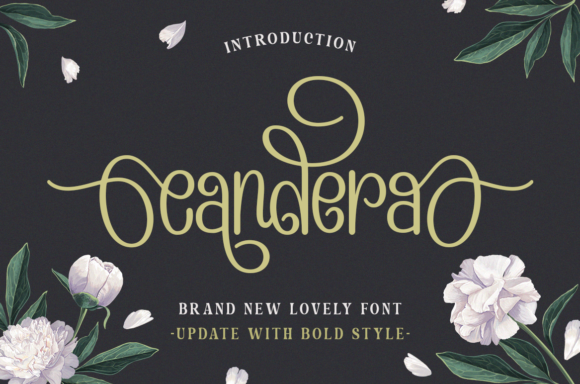 Candera: A Chic Display Font for Creative Makers