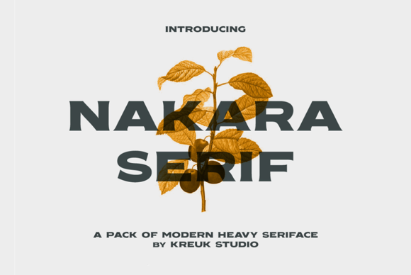 Nakara Serif for Bold Branding and Display Typography