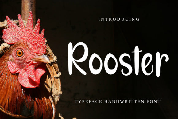 Rooster Font for Trendy Web Design Projects